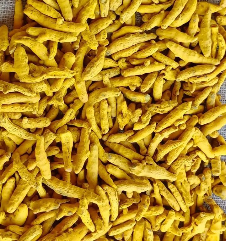 Dried Turmeric Fingers